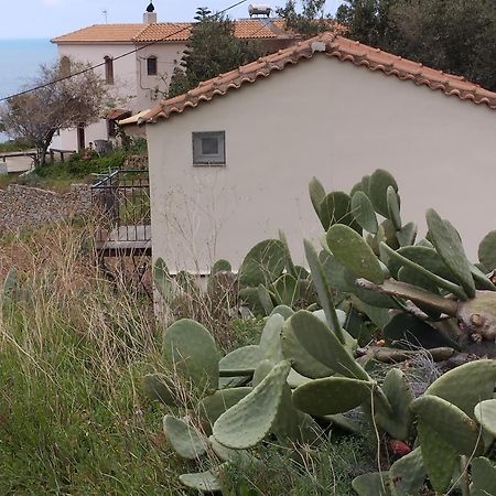 Niriides Studios Armenistis  Exterior photo