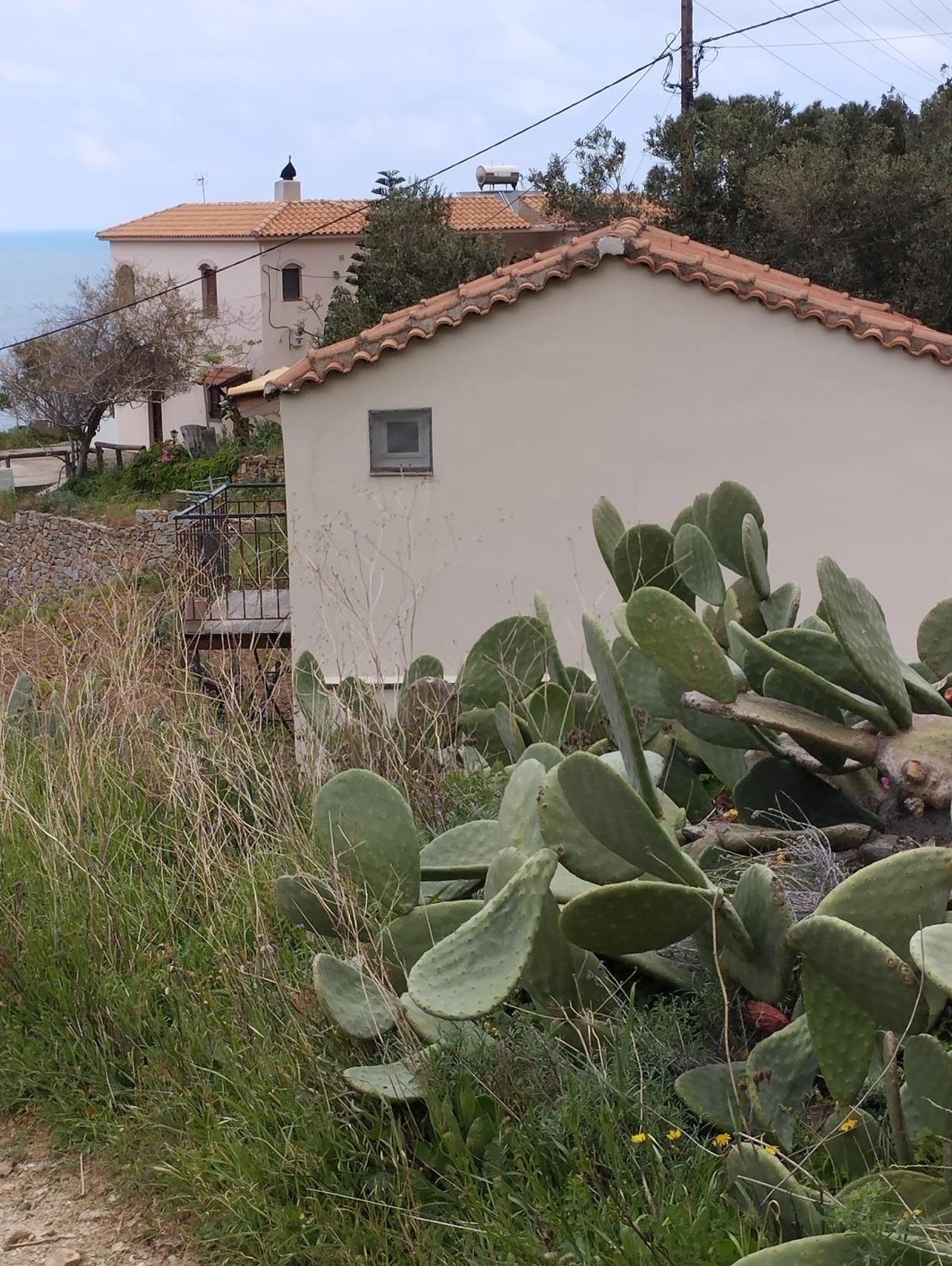 Niriides Studios Armenistis  Exterior photo